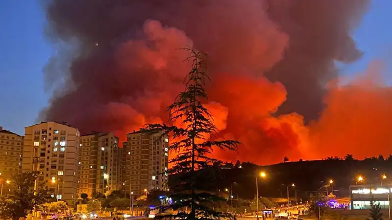 Bursa’da Yangınlar Şehri Sararken, Alevlerin Ardında Kalanlar