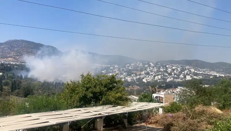 Muğla’daki Orman Yangınları Kontrol Altında: Son Durum ve Tedbirler