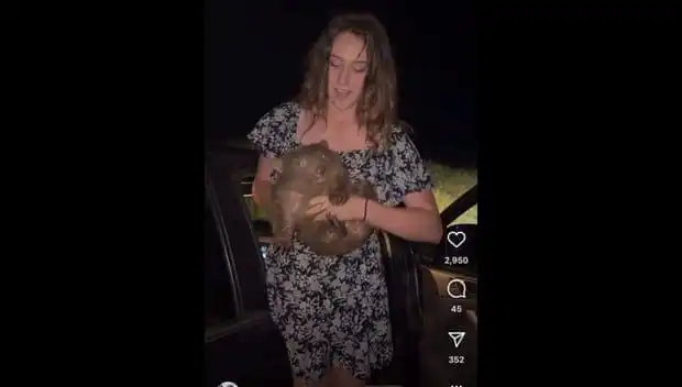 Yavru Hayvanı Annesinden Ayıran Adam, Ülkesini Terk Etmek Zorunda Kaldı!