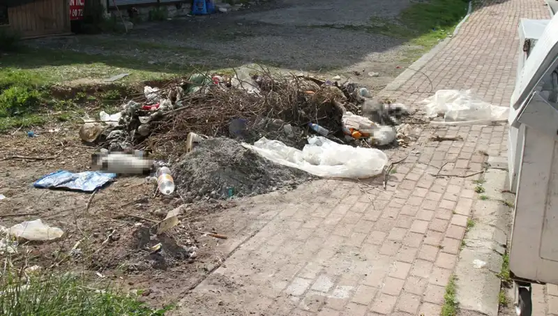 Antalya’da Kedilere Yönelik Vahşet: 10 Kedi Ölü Bulundu