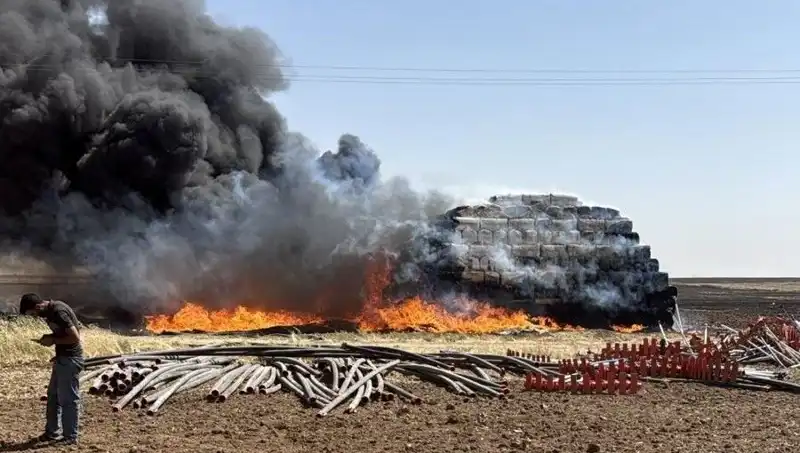 Mardin'de Başlayan Anız Yangını, Tarım Alanlarını Tehdit Altına Aldı