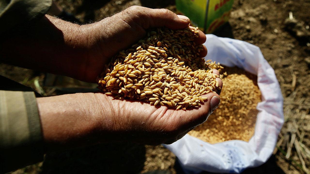 Tarım Kredisi Marketlerinde Ata Tohumları Satışa Sunulacak
