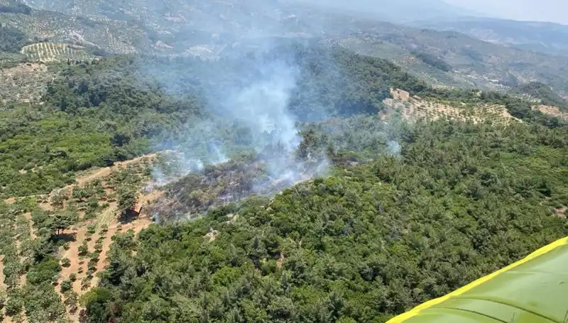 Aydın'da Çıkan Orman Yangını: Doğa Koruma Mücadelesi ve Yerel Toplumun Tepkileri
