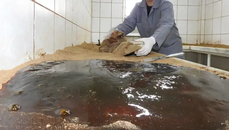 485 Yıldır Sırrını Koruyan Baharat Duası: 25 Nisan'da Tüm Ülke Bir Araya Geliyor