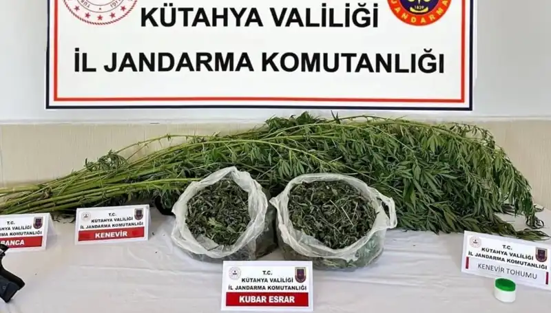 Kütahya'da Dev Uyuşturucu Operasyonu: Tek Gözaltı ile Sonuçlandı!