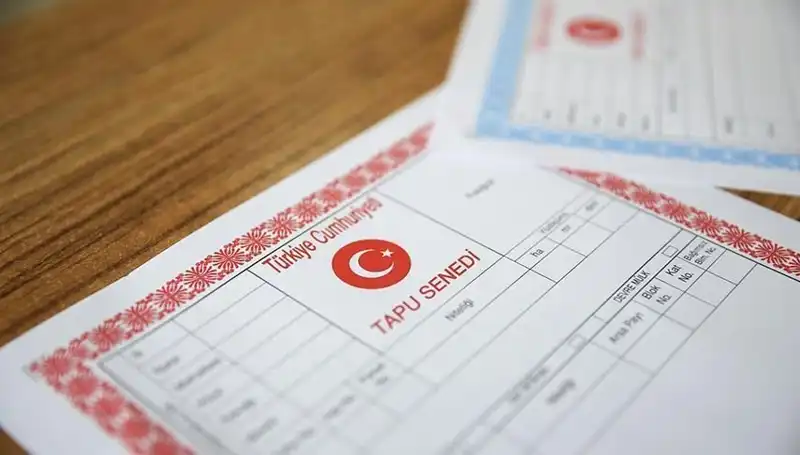 Hisseli Tapu Dolandırıcılığı: 100 Milyonluk Çarkın Arka Yüzü