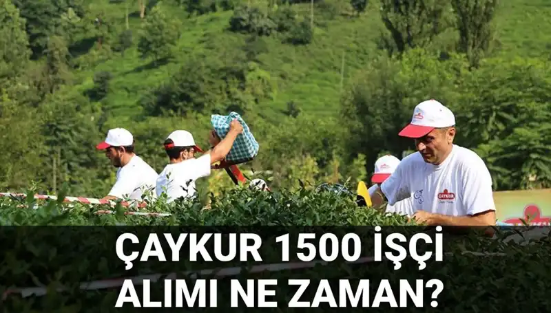 Çaykur İşçi Alımı Başvuru Tarihleri ve Son Durum Açıklandı