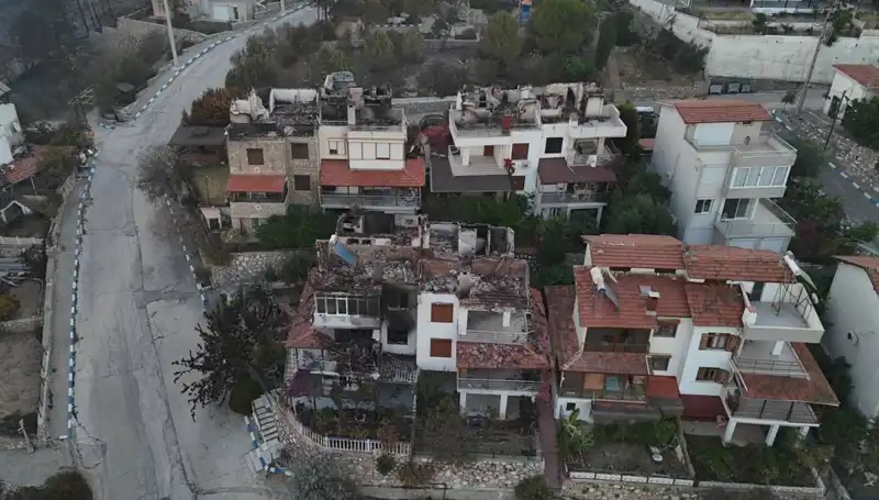 Türkiye'nin Orman Yangınlarında Son Durum: Yıkıcı Etkiler ve Önlemler