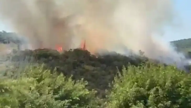 İstanbul'da Dev Yangın: Vatandaşlar Tahliye Ediliyor, Kurtarma Çalışmaları Sürüyor