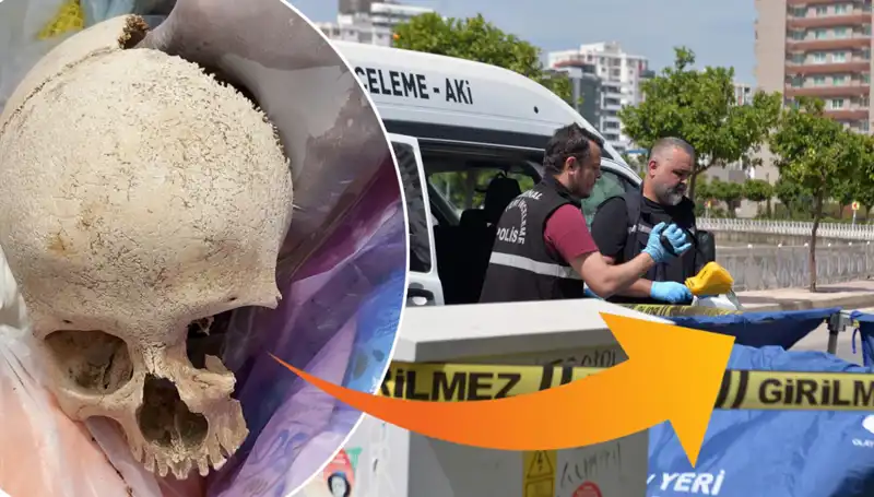 Sitenin Çöpünde Bulunan Kafatası Gizemi: Uzman Doktor Hakkında Şok Gelişme!