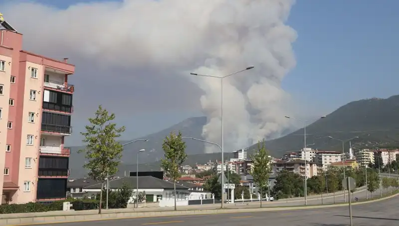 Denizli'de Orman Yangını: Korkutan Alevler ve Gözaltındaki Şüpheli