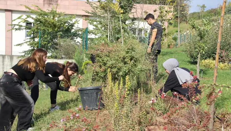 Düzce’nin İnovatif Projesi: Hayalden Gerçeğe Giden Yolda Mükemmel Başarı