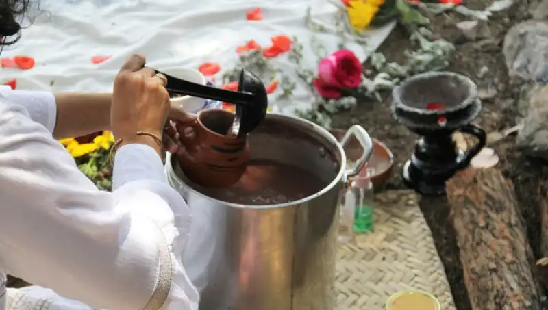 Ayahuasca: Doğanın Şifası mı, Tehlikeyi Mi Barındırıyor?