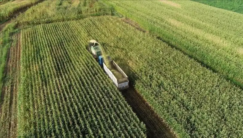 2025 Mazot ve Gübre Desteği Ödemeleri: Son Durum Neler?