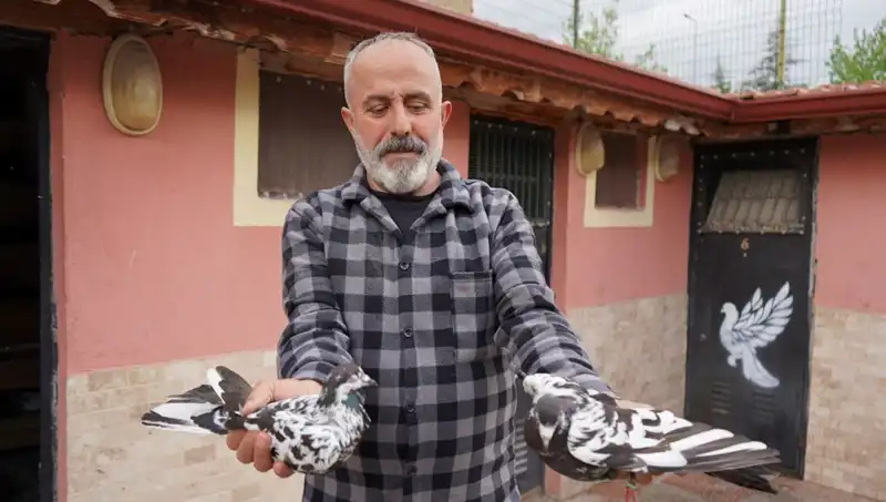 42 Yılın Birikimi: Hobi Olarak Başladı, Şimdi Bir İşletme Oldu!