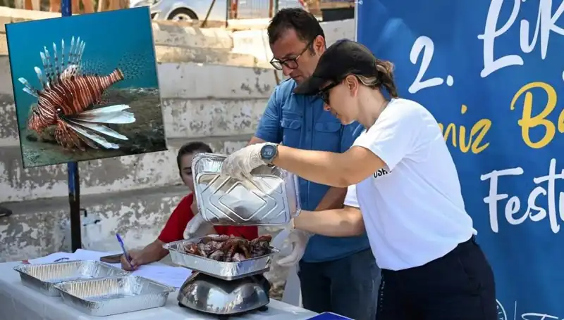 Antalya'da Zorlu Aslan Balığı Avlama Yarışması: Korumalı Su Altı İçin Bir Adım