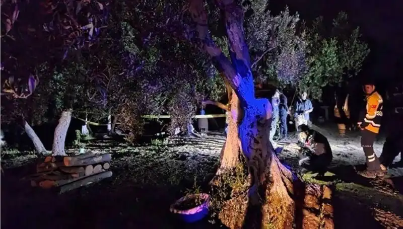 Çiftlikteki Baltalı Vahşet: Olayın Ardındaki Gerçekler ve Tutuklama