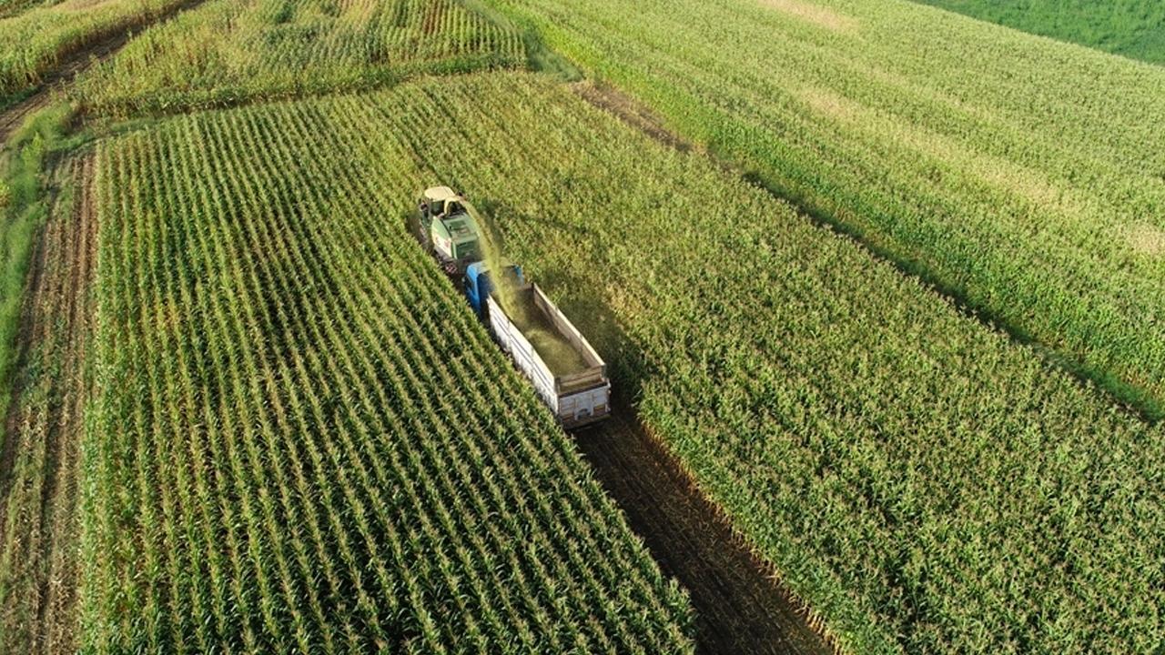 Tarım Üreticilerine 2,3 Milyar Liralık Destekleme Ödemesi Yapılacak