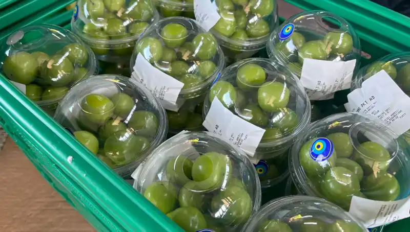 Don Olayları Sonrası Tarımda Rekolte Düşüşü ve Yüksek Fiyatlar