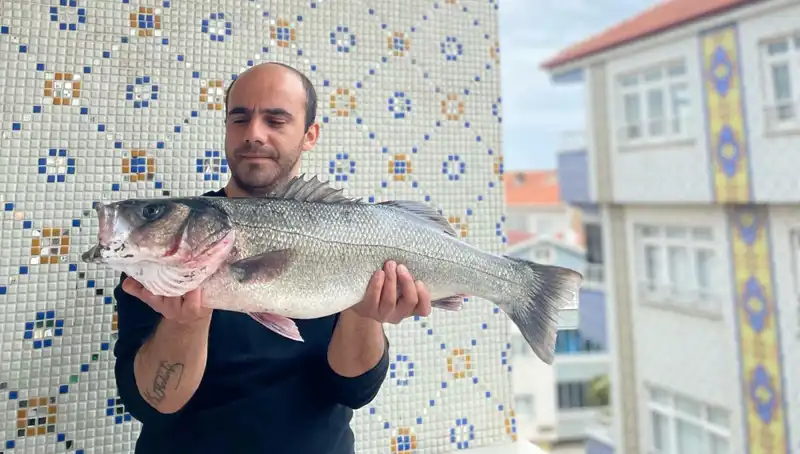 7,5 Kiloluk Dev Levrek, Balıkçıları Efsaneleşti!