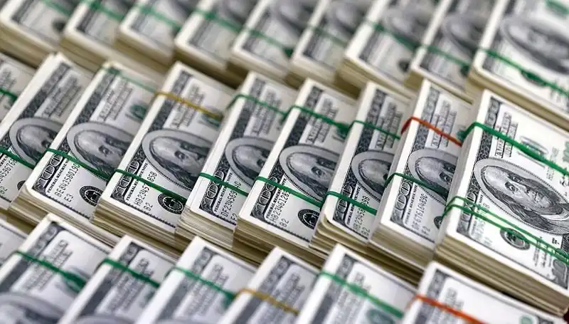 Doların Hızla Yükseldiği Uyarısı: Ekonomide Neler Oluyor?