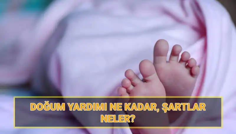 2025 Doğum Yardımı Başvuruları Başladı! Şartlar ve Ödeme Miktarları Açıklandı