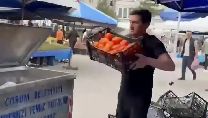 Domatesleri Çöpe Dökerek Cezalandırılacak Pazarcının Hikayesi
