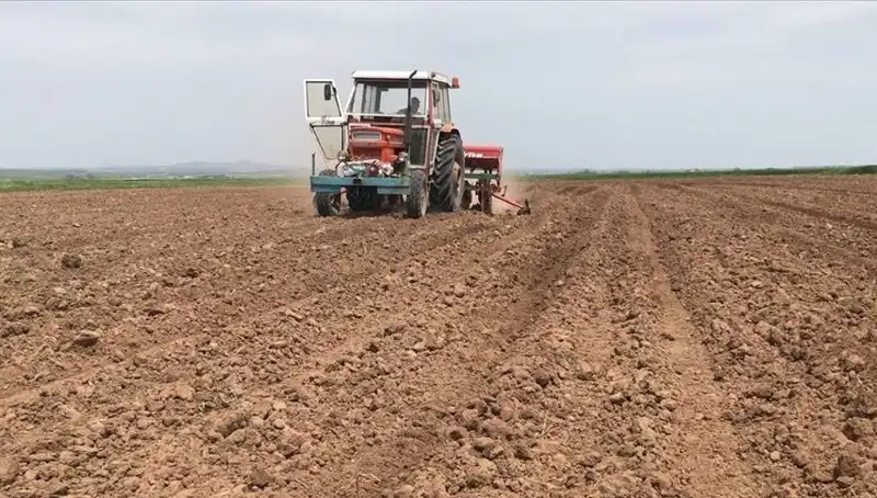 Türkiye’de Mart Ayı Rekor Kıran Kuraklık: Yağış Miktarı Üçte Bir Azaldı