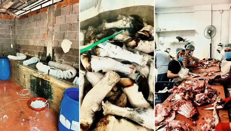 Adana'da Şok: Yüzlerce Kilo Paça Ele Geçirildi